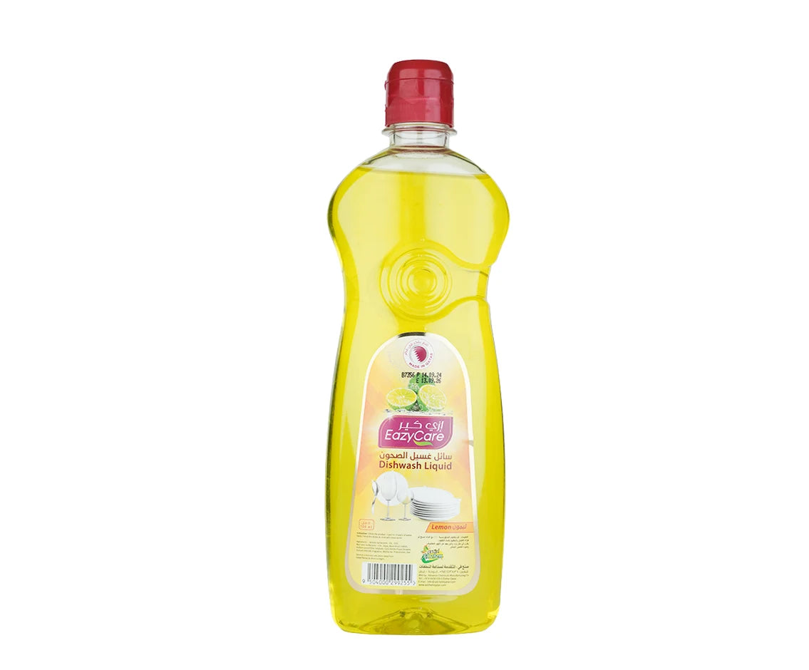 Easy Care Dishwash 500 ml 1 Piece