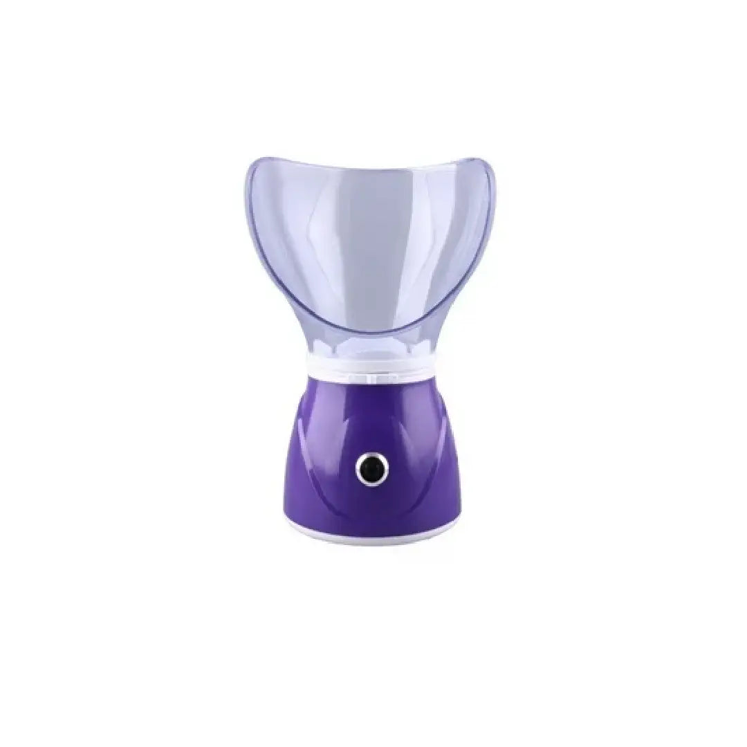 Professional Facial Steamer BY1078
