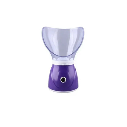 Professional Facial Steamer BY1078