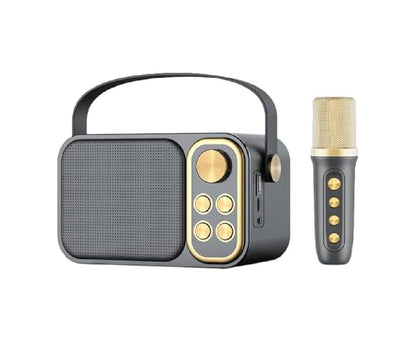smartberry bluetooth speaker with 2 mic ys-108 plus