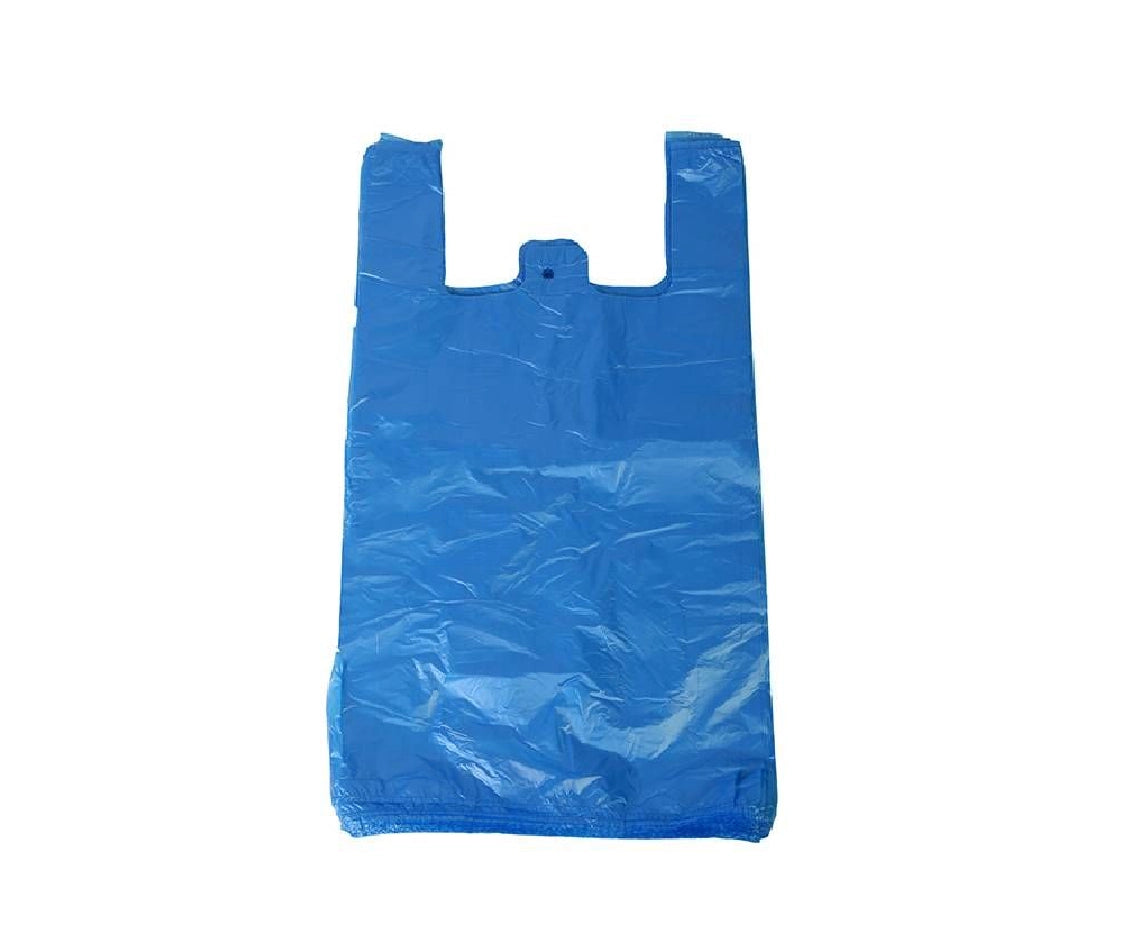Shopping Bag Large 1X10 Packet