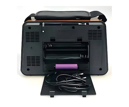 Golon Radio and Wireless Speaker Rx-Bt1006