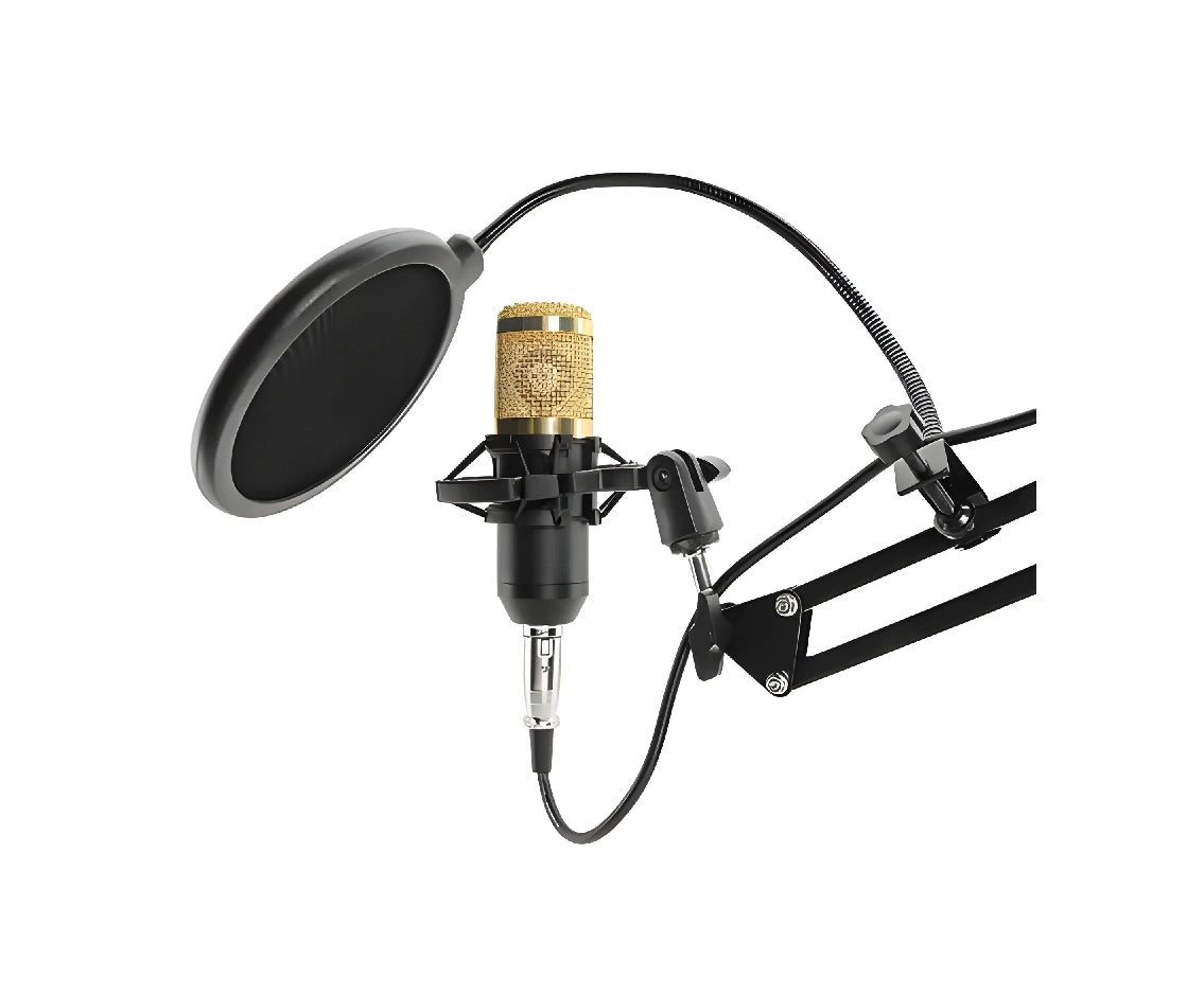 Singing Live Sound Card Bm 800 V8S